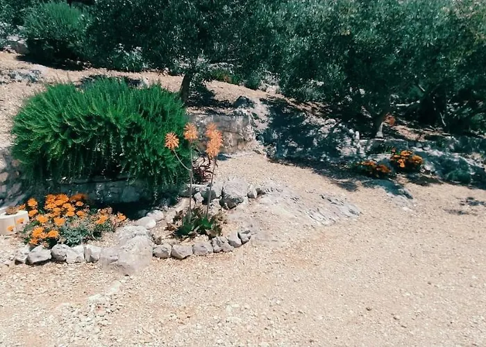Kuca Jakov 度假居 *