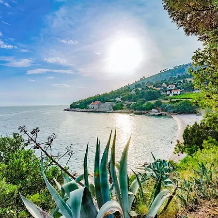 Kuca Jakov Сasa de vacaciones